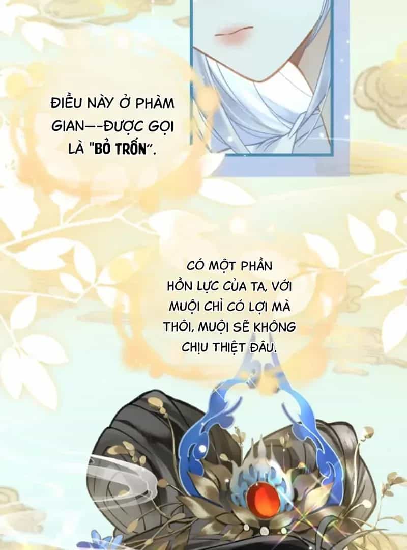 Đến Đông Hải Tìm Mỹ Nhân - Chương 68 - ảnh 45