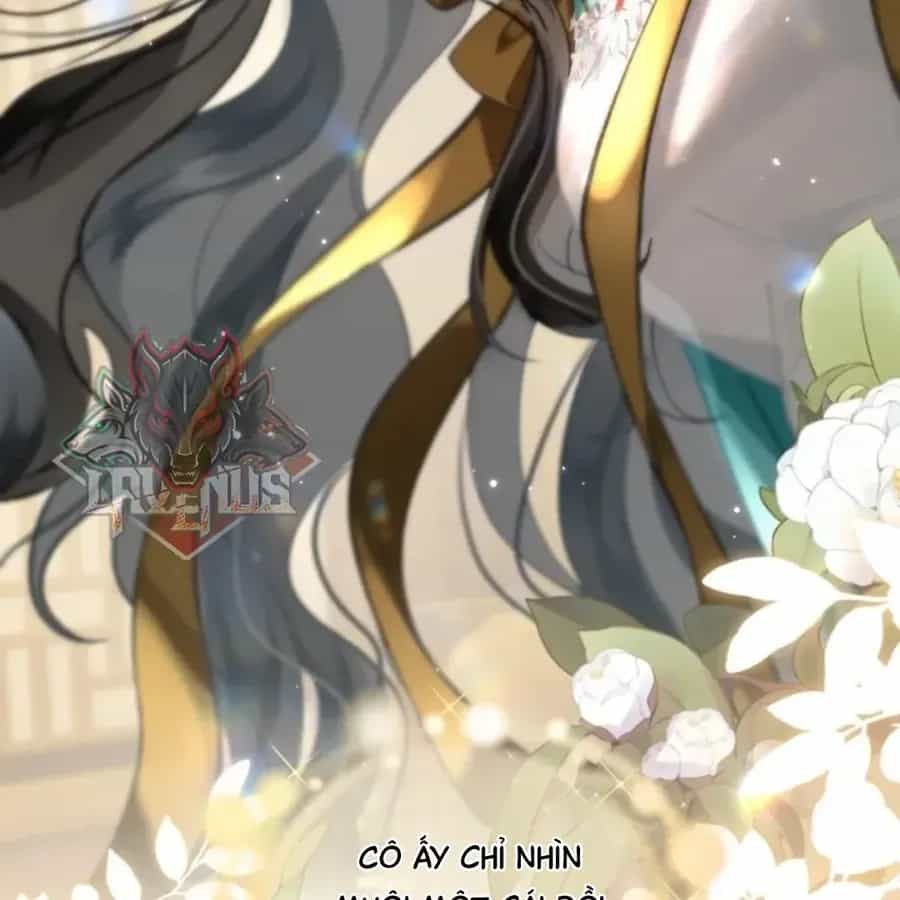 Đến Đông Hải Tìm Mỹ Nhân - Chương 69 - ảnh 13