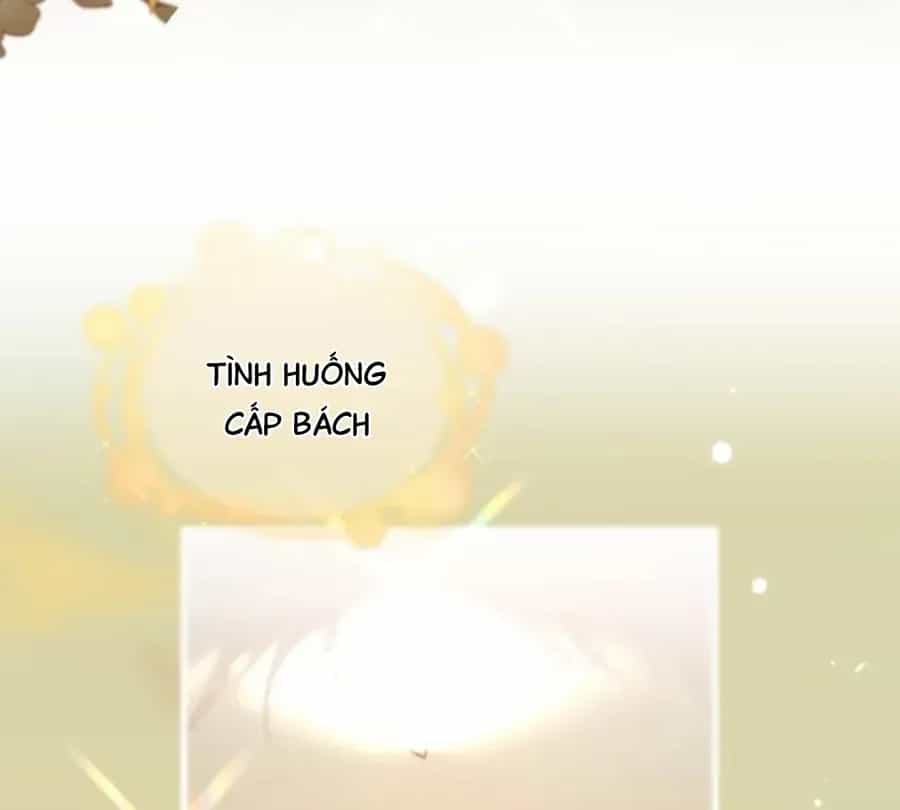 Đến Đông Hải Tìm Mỹ Nhân - Chương 69 - ảnh 46