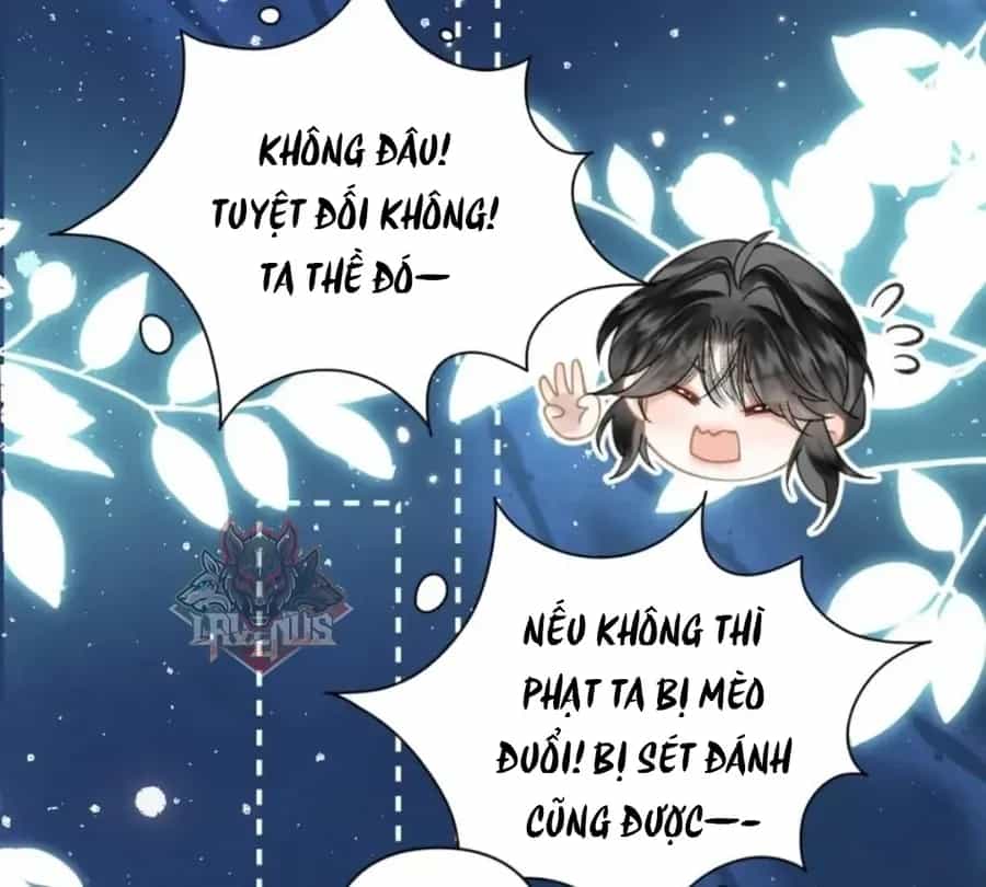 Đến Đông Hải Tìm Mỹ Nhân - Chương 69 - ảnh 72