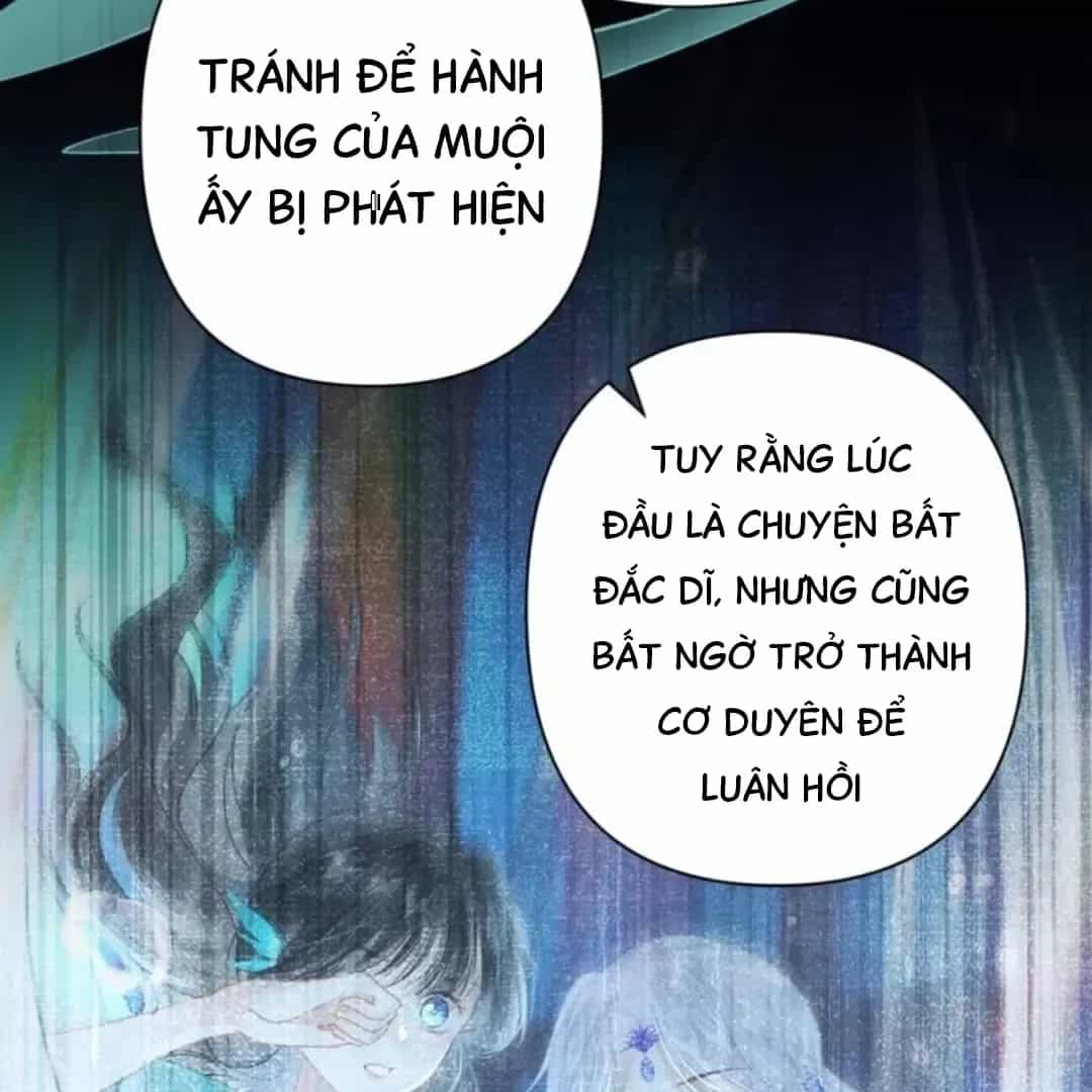 Đến Đông Hải Tìm Mỹ Nhân - Chương 71 - ảnh 8