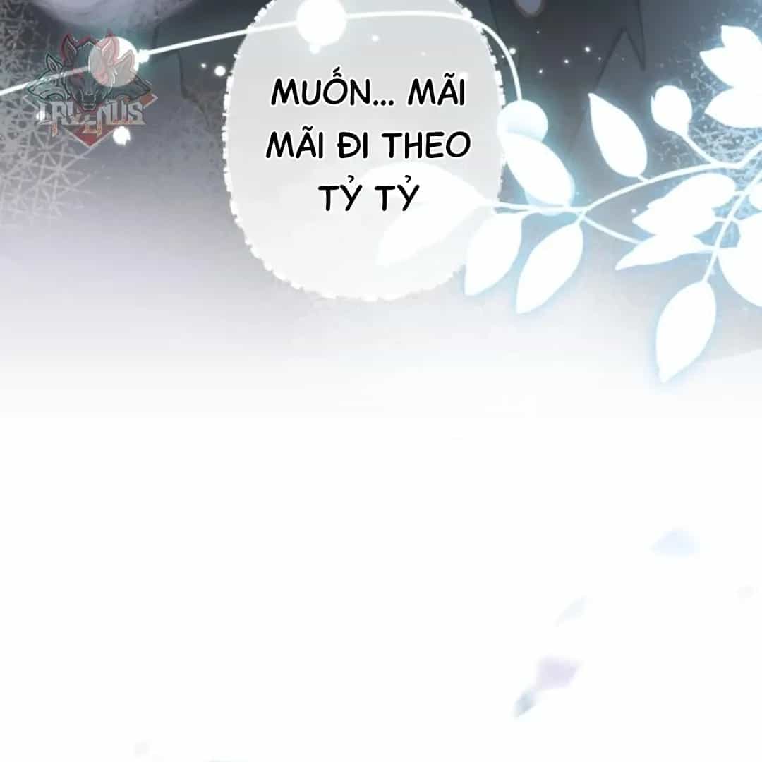 Đến Đông Hải Tìm Mỹ Nhân - Chương 73 - ảnh 64