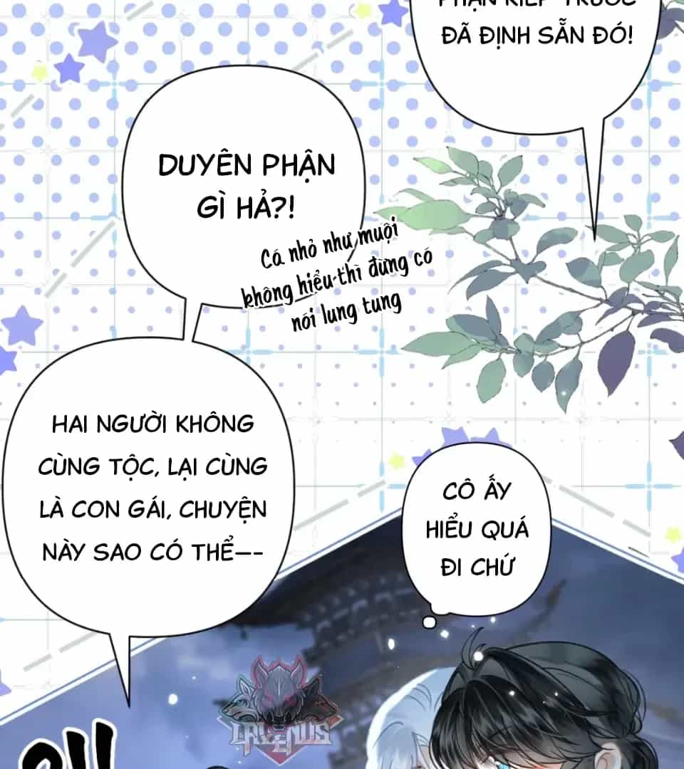 Đến Đông Hải Tìm Mỹ Nhân - Chương 74 - ảnh 16