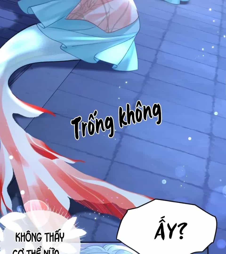 Đến Đông Hải Tìm Mỹ Nhân - Chương 74 - ảnh 21