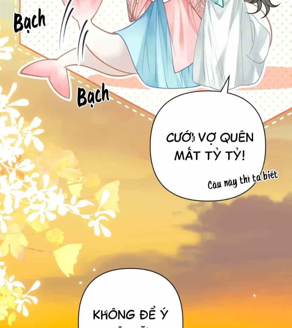 Đến Đông Hải Tìm Mỹ Nhân - Chương 74 - ảnh 66