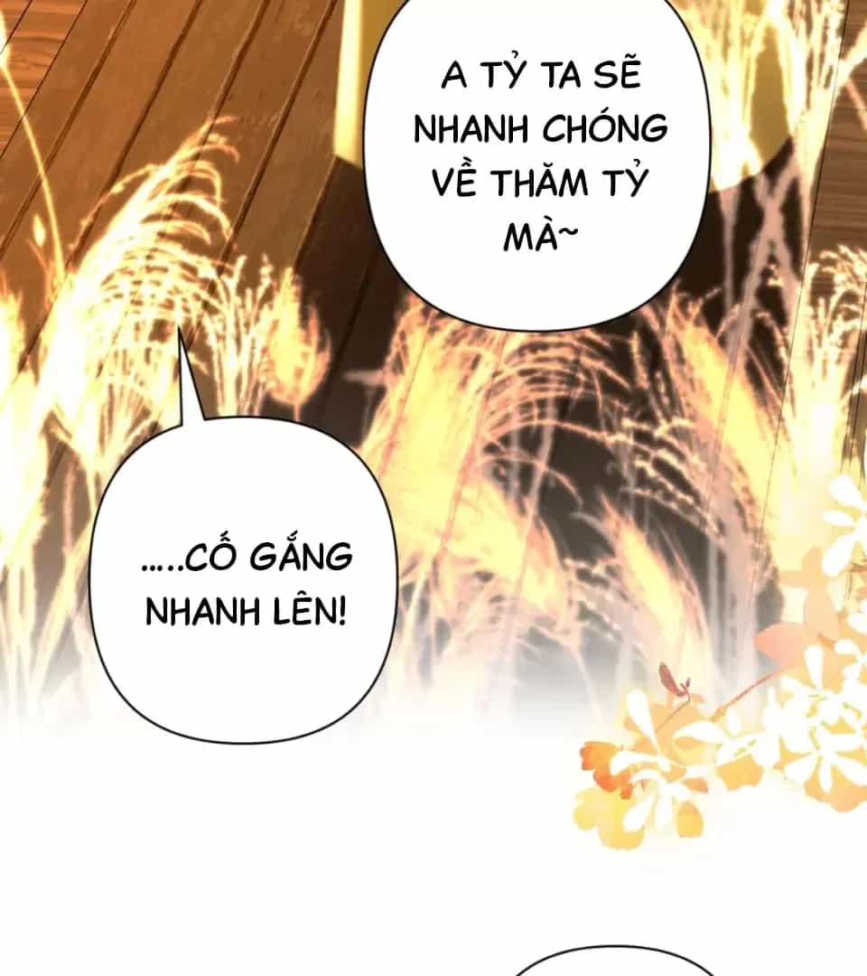 Đến Đông Hải Tìm Mỹ Nhân - Chương 74 - ảnh 69