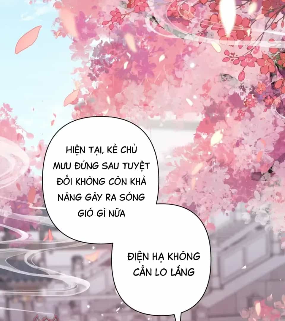 Đến Đông Hải Tìm Mỹ Nhân - Chương 75 - ảnh 11