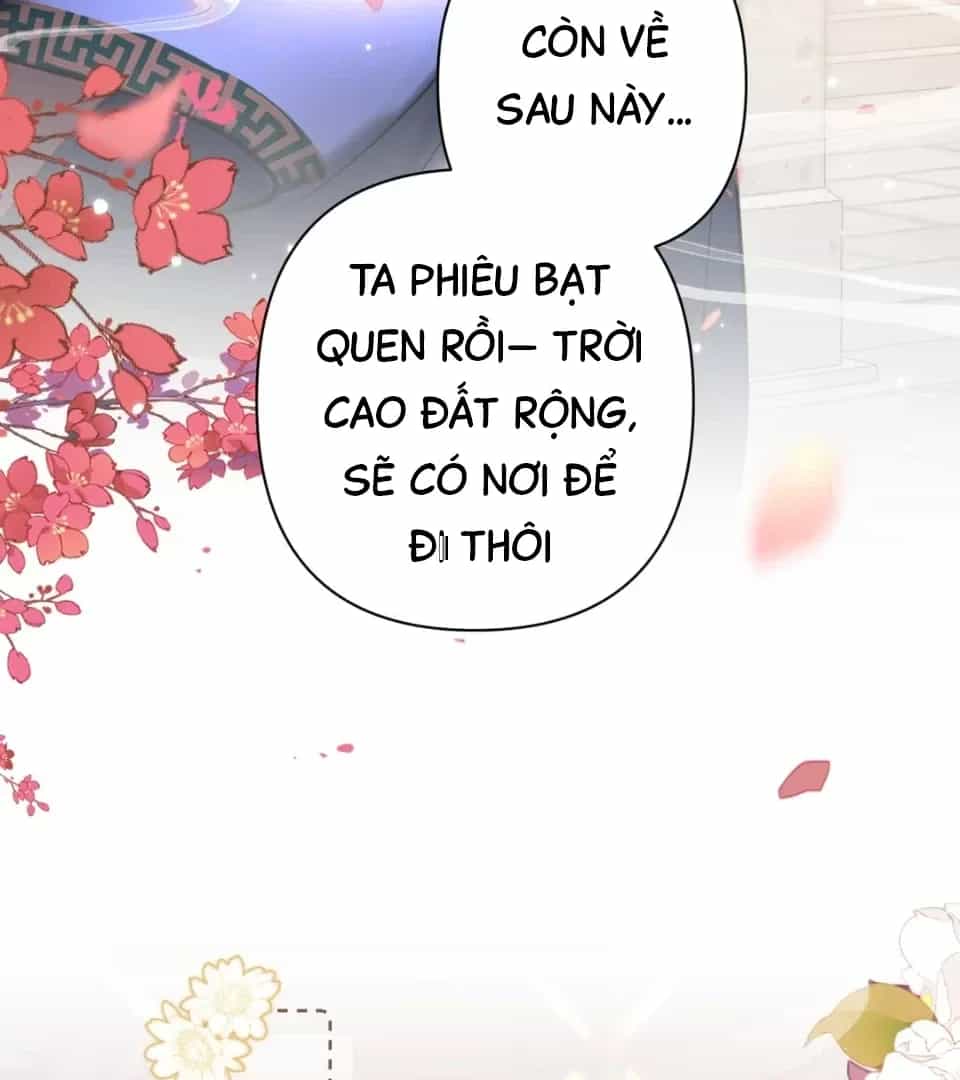 Đến Đông Hải Tìm Mỹ Nhân - Chương 75 - ảnh 19