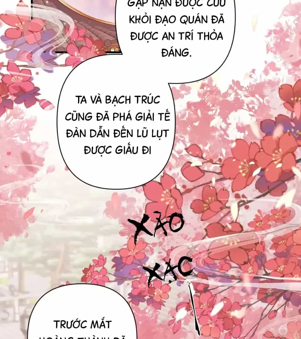Đến Đông Hải Tìm Mỹ Nhân - Chương 75 - ảnh 2