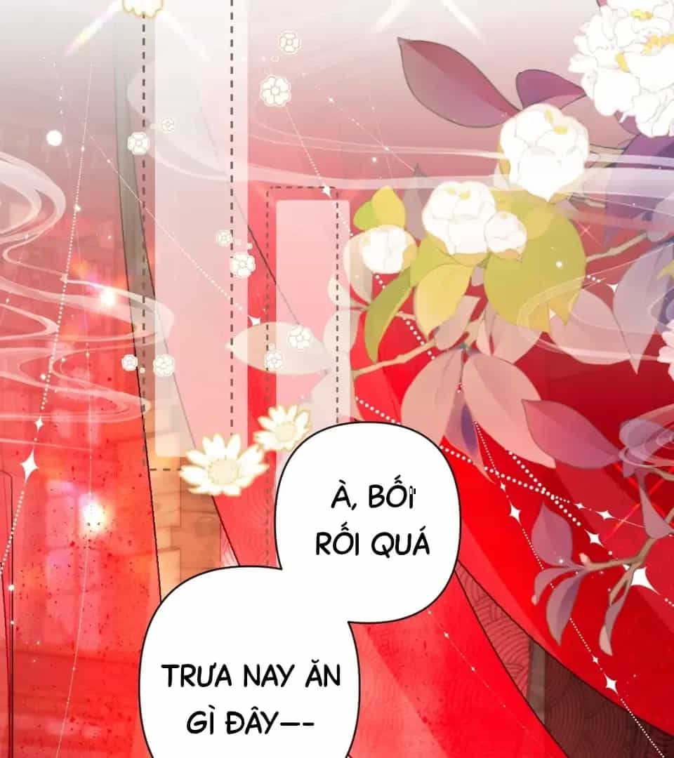 Đến Đông Hải Tìm Mỹ Nhân - Chương 75 - ảnh 20