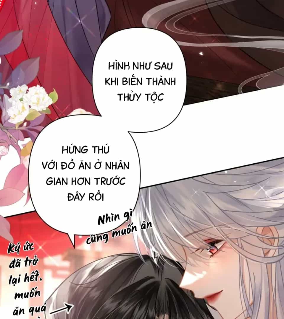 Đến Đông Hải Tìm Mỹ Nhân - Chương 75 - ảnh 22