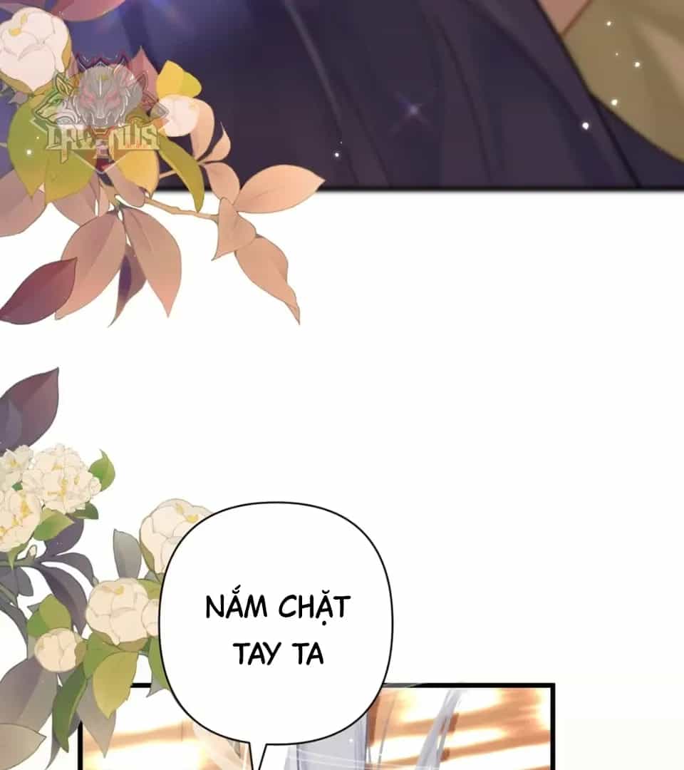 Đến Đông Hải Tìm Mỹ Nhân - Chương 75 - ảnh 74
