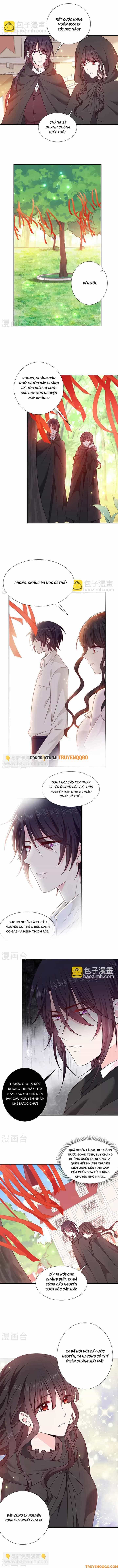 Devil Do Not Kiss Me - Chương 193 - ảnh 5