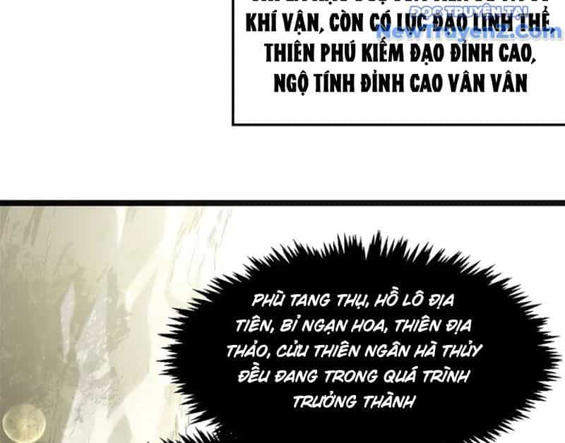 Đỉnh Cấp Khí Vận, Lặng Lẽ Tu Luyện Ngàn Năm - Chương 213 - ảnh 5
