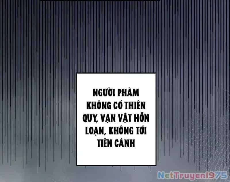Đỉnh Cấp Khí Vận, Lặng Lẽ Tu Luyện Ngàn Năm - Chương 217 - ảnh 46