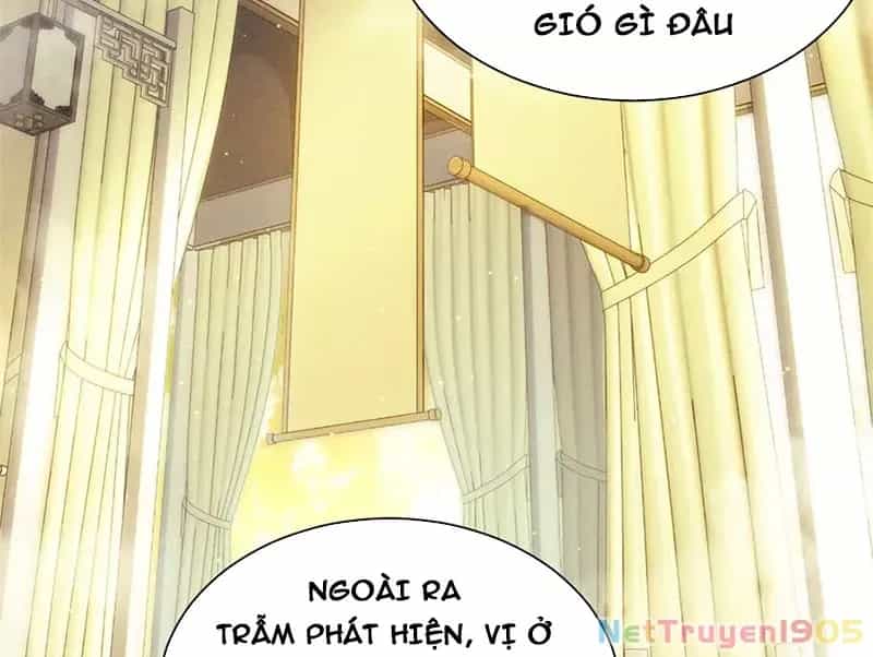 Đỉnh Cấp Khí Vận, Lặng Lẽ Tu Luyện Ngàn Năm - Chương 227 - ảnh 136