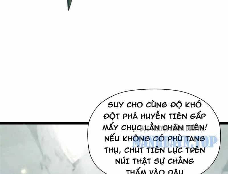 Đỉnh Cấp Khí Vận, Lặng Lẽ Tu Luyện Ngàn Năm - Chương 286 - ảnh 29