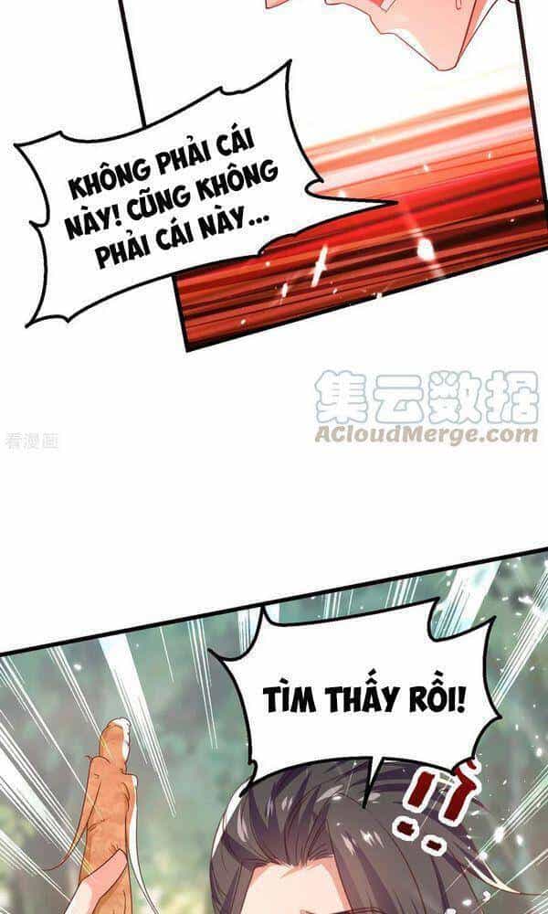 Đỉnh Cấp Võ Hồn - Chương 66 - ảnh 16