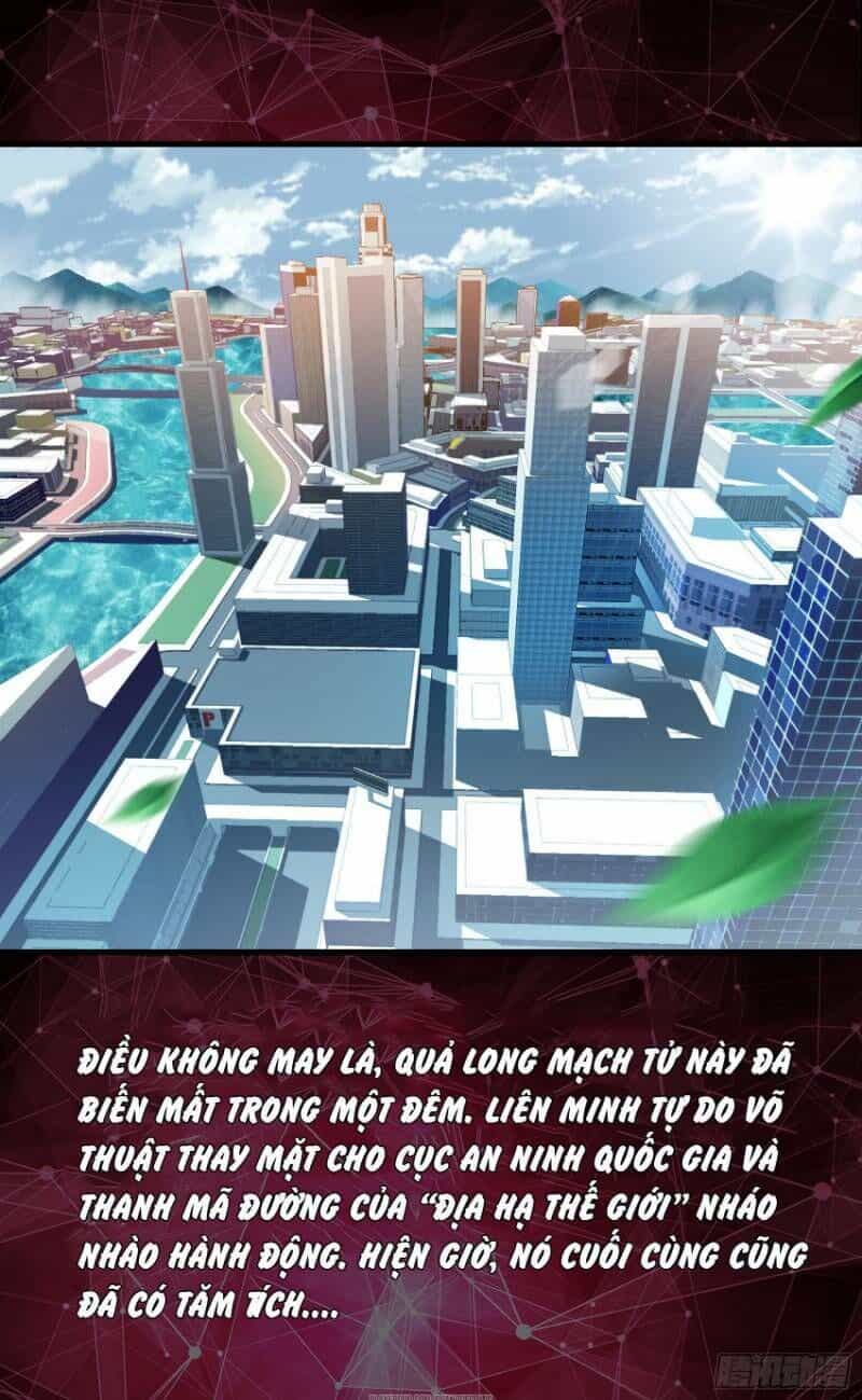 Đỉnh Phong Cường Thiếu - Chương 1 - ảnh 6