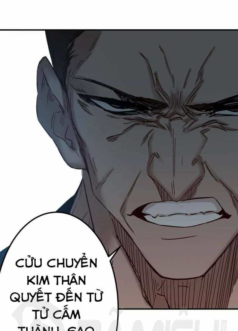 Đỉnh Phong Thần Y - Chương 64 - ảnh 3