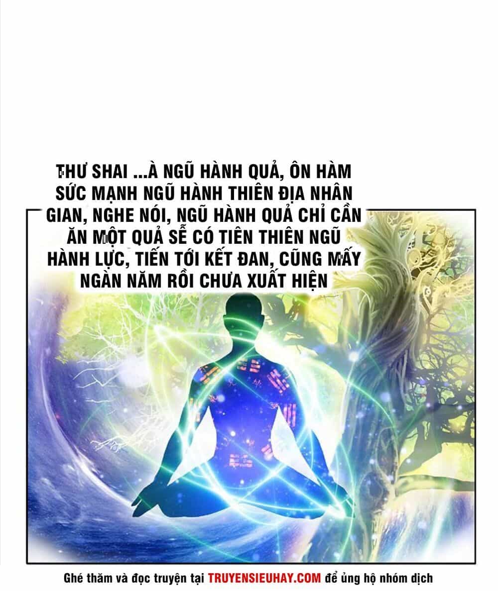 Đô Thị Cực Phẩm Y Tiên - Chương 337 - ảnh 4