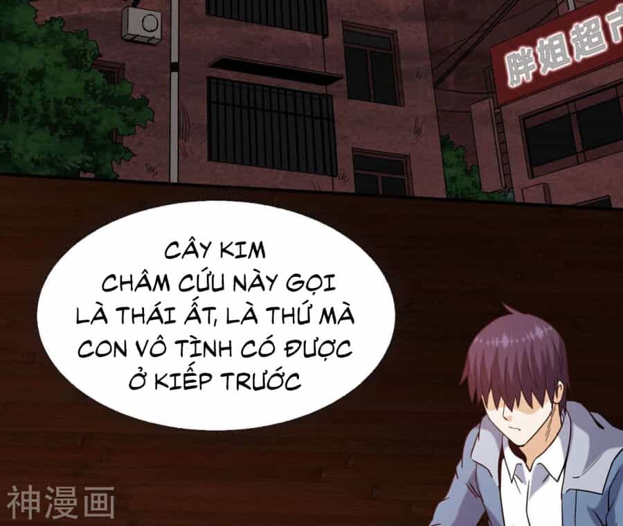 Đô Thị Tiên Đế - Chương 54 - ảnh 33