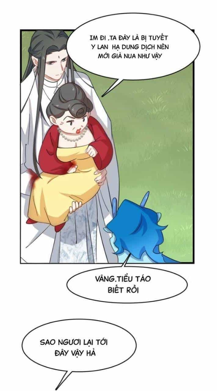 Độc Bộ Thiên Hạ: Đặc Công Thần Y - Chương 167 - ảnh 10