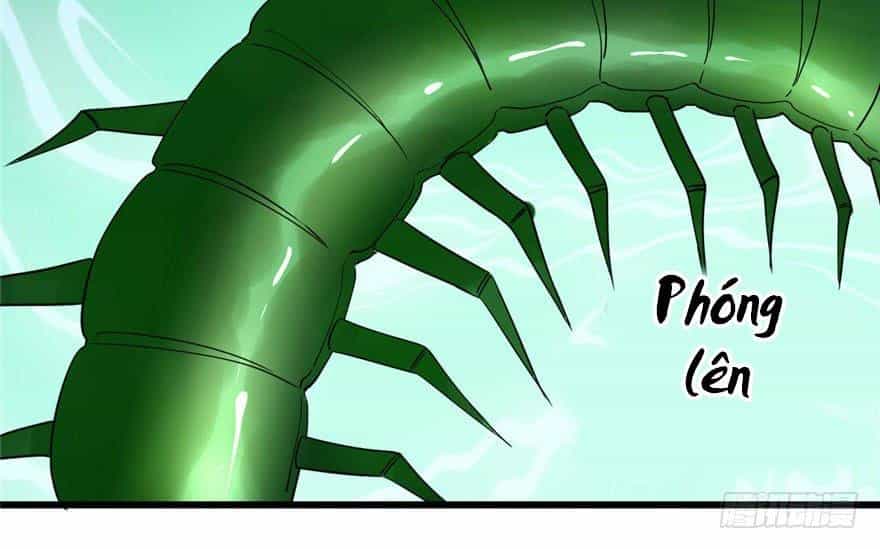 Độc Bộ Thiên Hạ: Đặc Công Thần Y - Chương 24 - ảnh 15