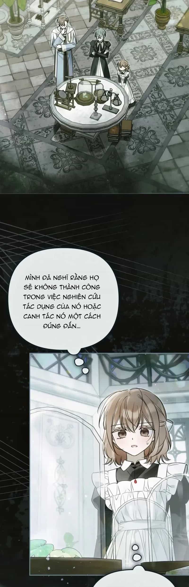 Độc Chiếm Sự Sủng Ái Của Công Nương Út, Mọi Người Đều Ám Ảnh Tôi - Chương 45 - ảnh 17