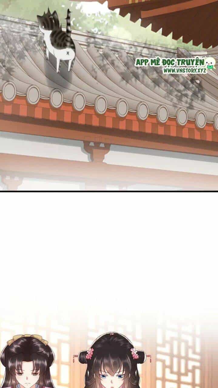 Độc Phi Ngu Ngốc Không Thể Chọc - Chương 168 - ảnh 11