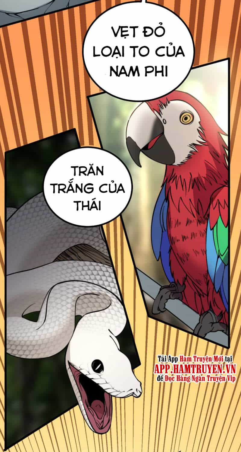 Độc Thủ Vu Y - Chương 273 - ảnh 28