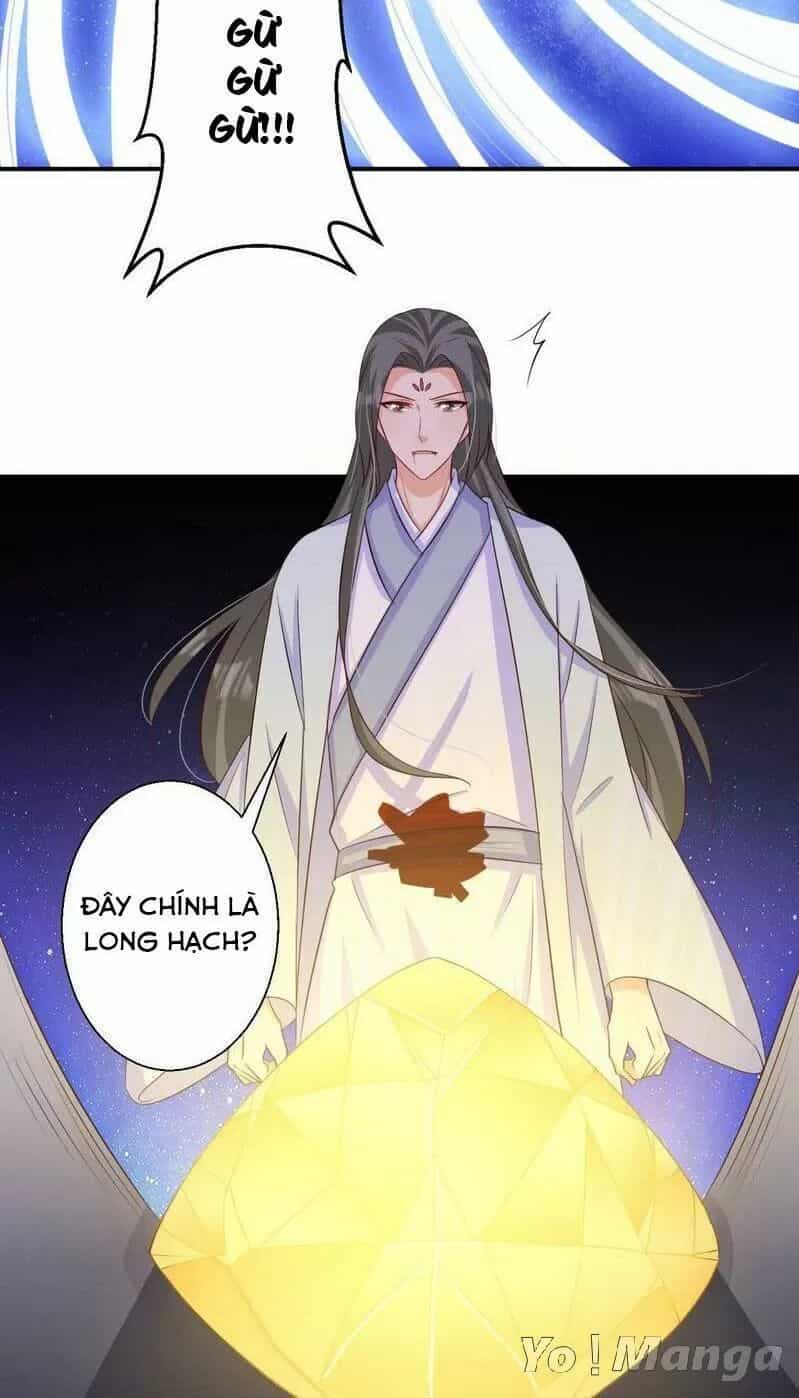 Độc Y Cuồng Phi - Chương 74 - ảnh 2