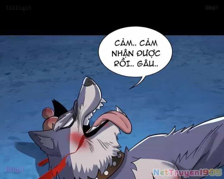 Đối Mặt Với Bệnh Tâm Thần, Ma Quỷ Chẳng Là Cái Thá Gì - Chương 156 - ảnh 46