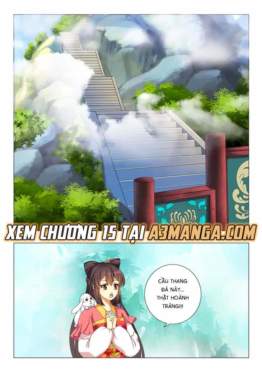 Đống Phù Đã Khai Quang - Chương 14 - ảnh 16