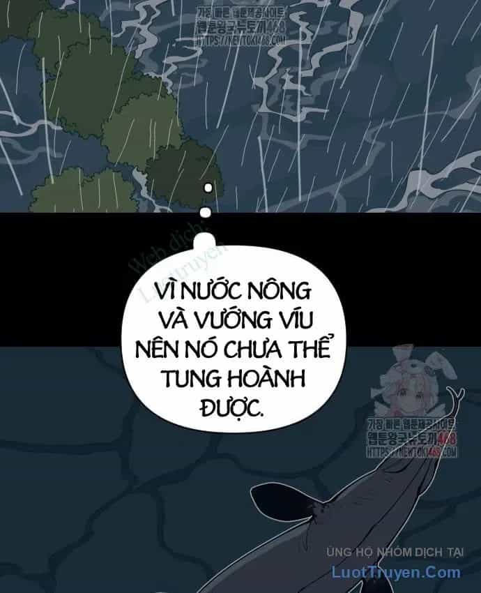Động Vật Tiền Sử - Chương 18 - ảnh 41
