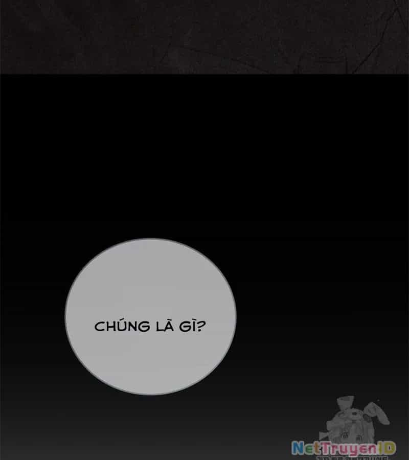 Đột Kích Giả - Chương 28 - ảnh 24