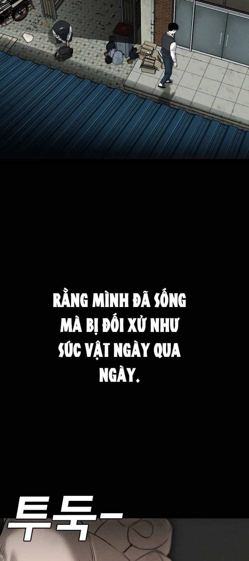 Đứa Con Báo Thù - Chương 2 - ảnh 42