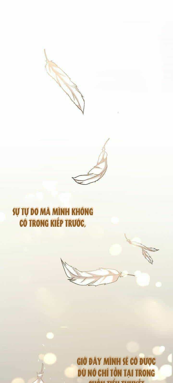 Đứa Trẻ Bảo Hộ Bóng Đêm - Chương 1 - ảnh 16