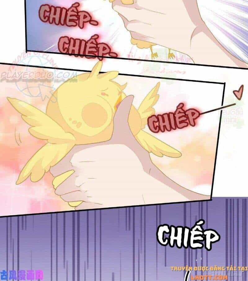 Đứa Trẻ Có 5 Daddy - Chương 2 - ảnh 19