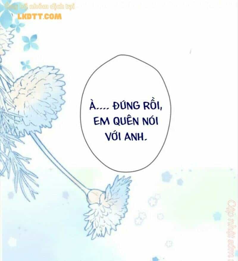Đừng Để Tôi Bảo Vệ - Chương 134 - ảnh 16
