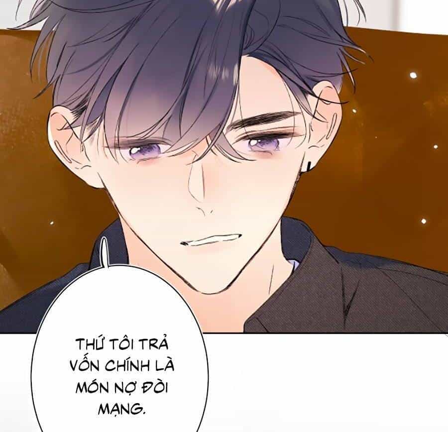 Đừng Khóc - Chương 77 - ảnh 19