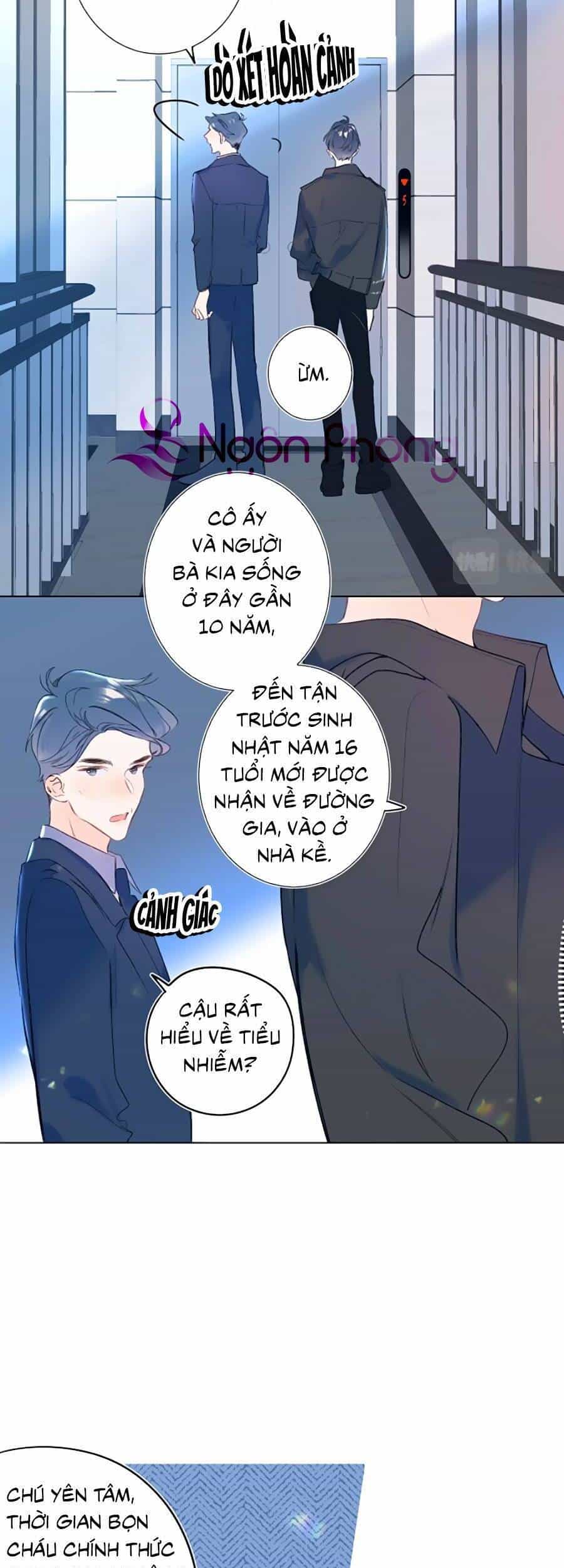 Đừng Khóc - Chương 80 - ảnh 24