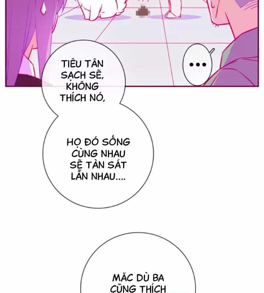 Đừng Nghịch, Ta Chỉ Muốn Yên Tĩnh - Chương 60 - ảnh 19