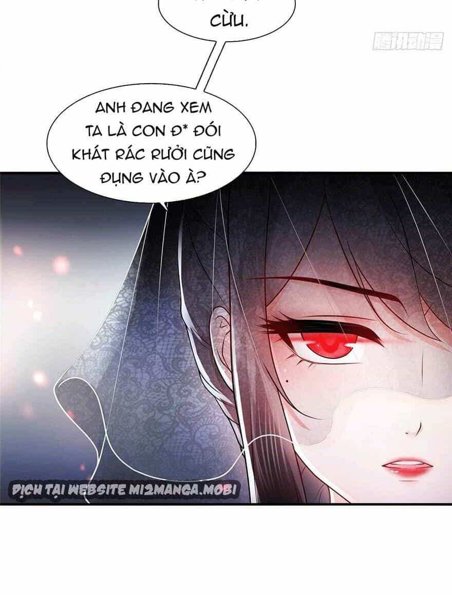 Đúng Như Hàn Quang Gặp Nắng Gắt - Chương 104 - ảnh 25