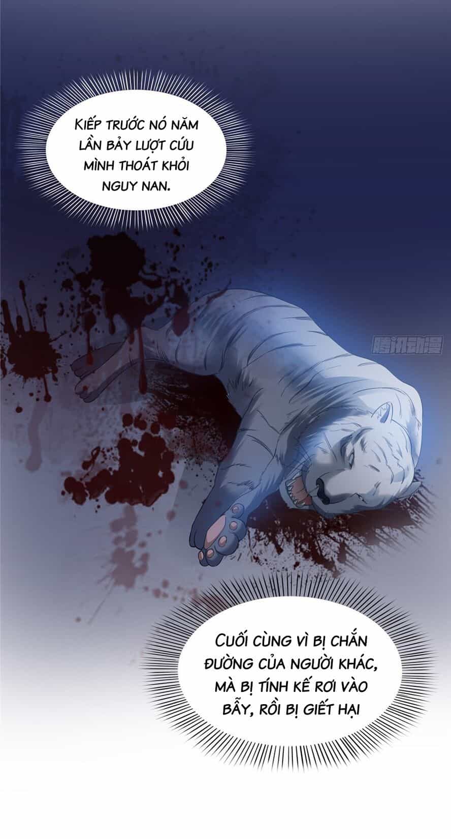 Đúng Như Hàn Quang Gặp Nắng Gắt - Chương 49 - ảnh 18