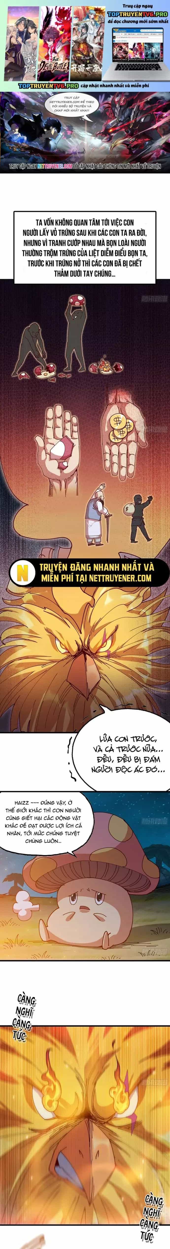 Dũng Sĩ Nấm - Chương 24 - ảnh 2