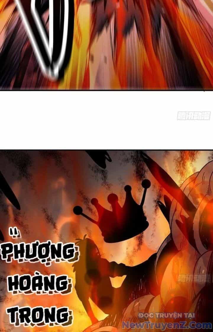 Dũng Sĩ Nấm - Chương 41 - ảnh 81