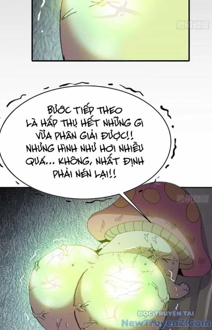 Dũng Sĩ Nấm - Chương 52 - ảnh 27
