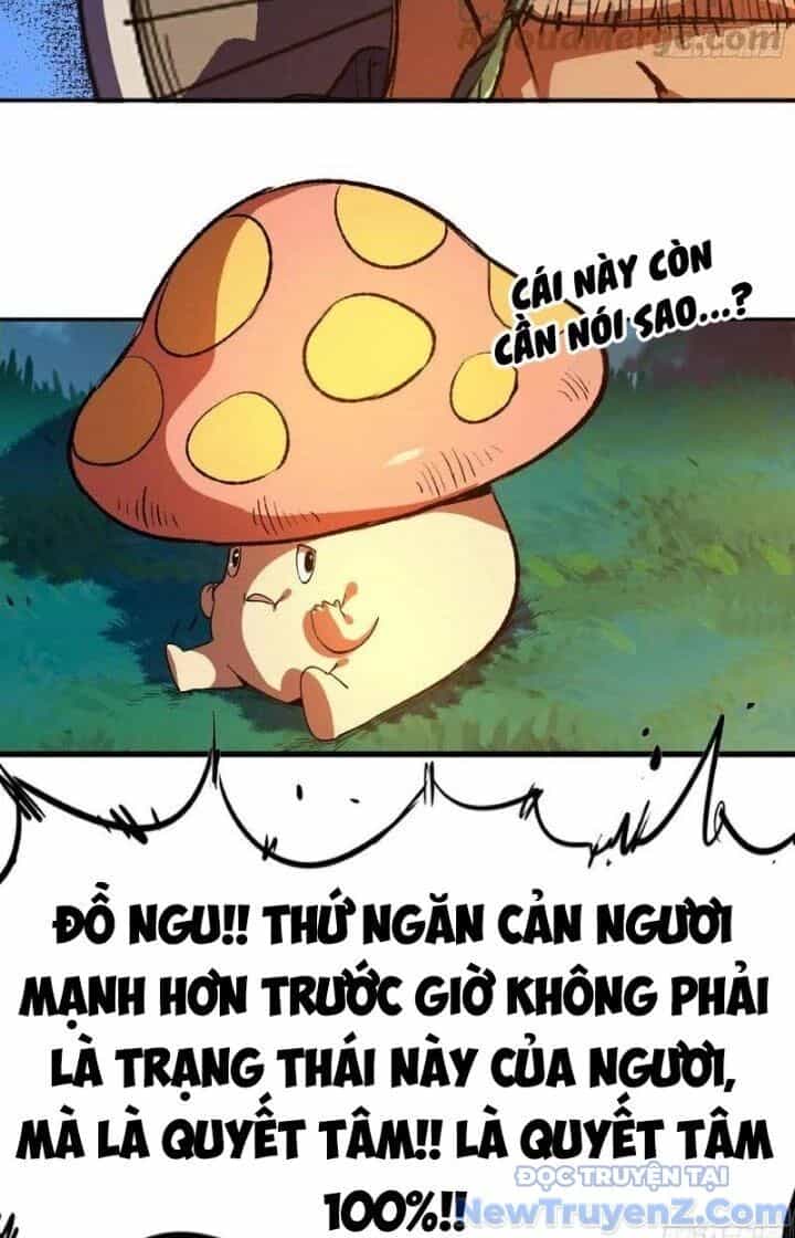 Dũng Sĩ Nấm - Chương 79 - ảnh 31