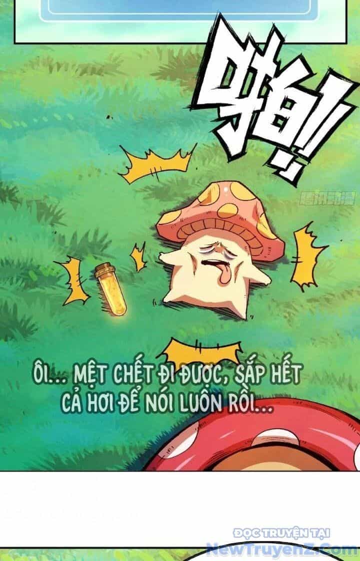 Dũng Sĩ Nấm - Chương 84 - ảnh 13